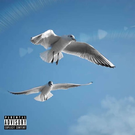 Checks & Balances cover art