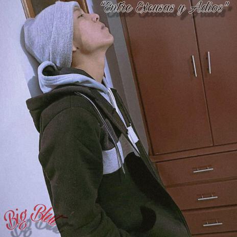 Entre Excusas y Adios cover art