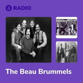 The Beau Brummels Radio