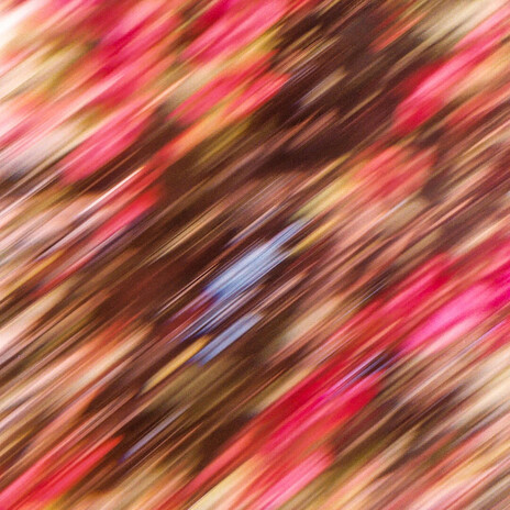 Mandarina cover art