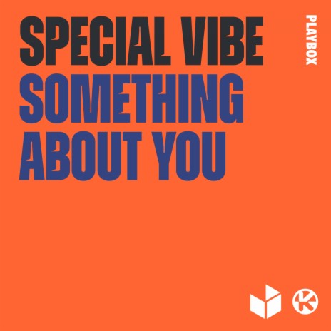 Something About You