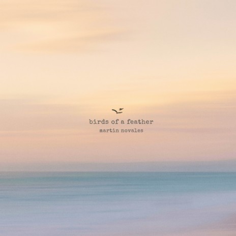 BIRDS OF A FEATHER cover art