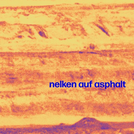 nelken auf asphalt cover art