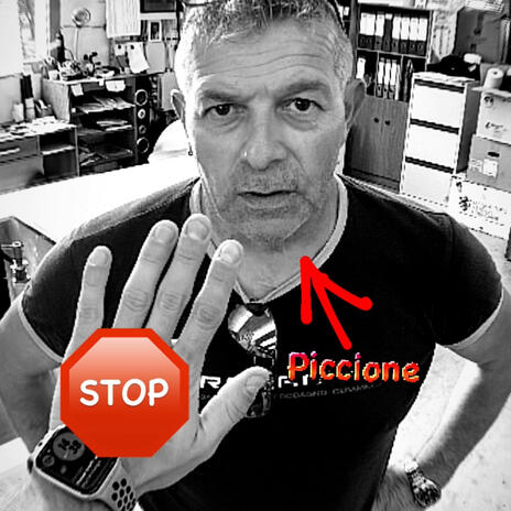 stop the pigeon (yullo Version) cover art