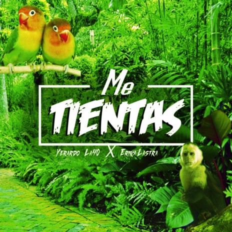 Me Tientas (feat. Erika Lastra) cover art