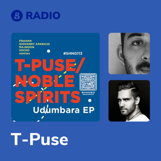 T-Puse Radio