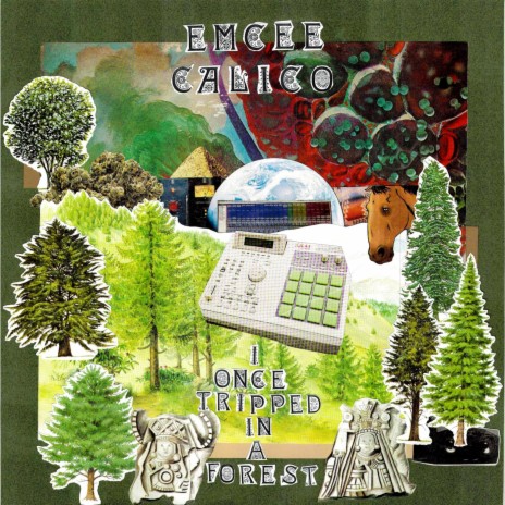 I Once Tripped in a Forest cover art
