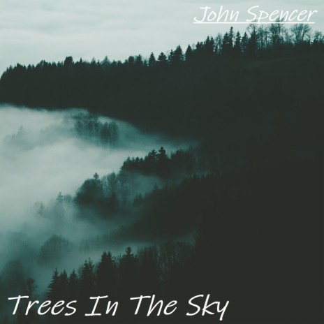 Trees In The Sky