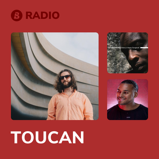 TOUCAN Radio