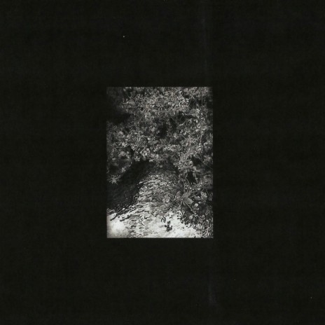 Srangan cover art
