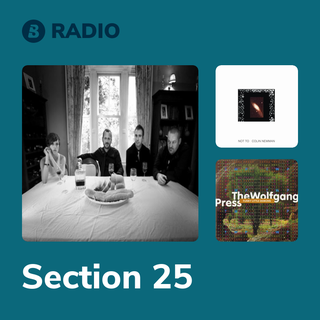 Section 25 Radio