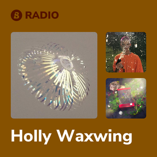 Holly Waxwing Radio