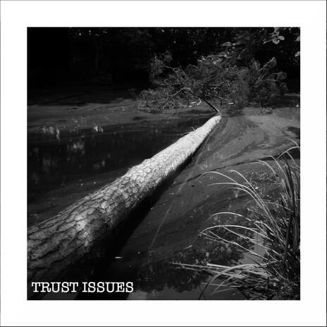 Trust Issues cover art
