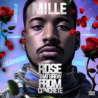 Rose That Grew From Concrete