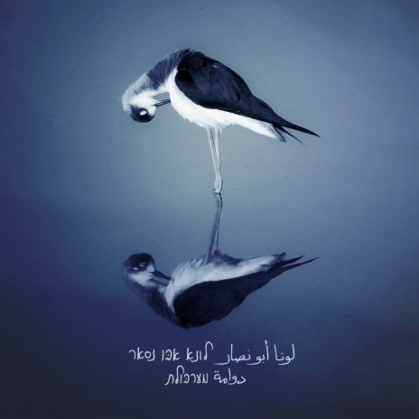 بركي cover art