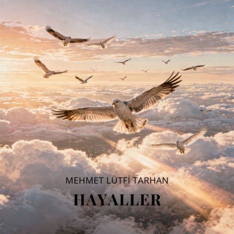 HAYALLER