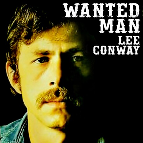 I Just Didn't Hear cover art