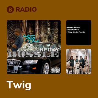 Twig Radio