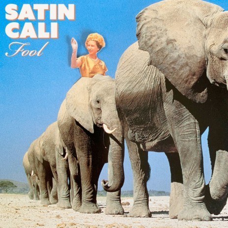 Fool cover art