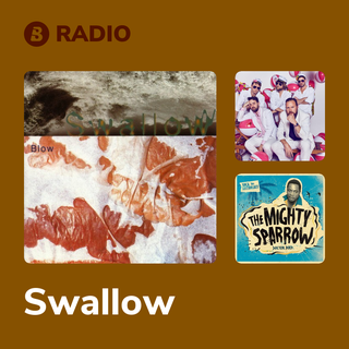Swallow Radio
