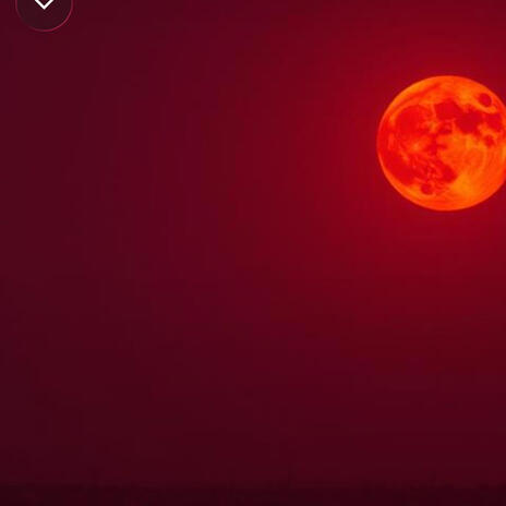 Happy Halloween Tonight cover art