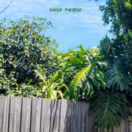 eenie meanie cover art