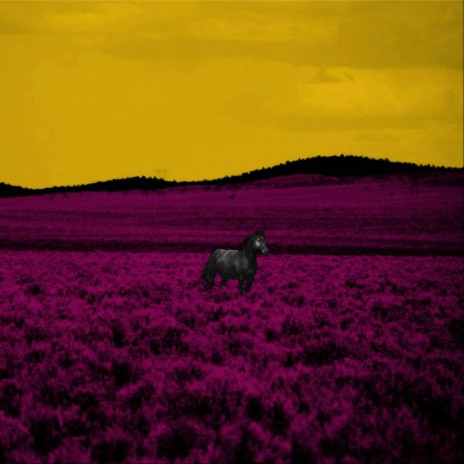 Hasta el último segundo (Oi! style) ((Remaster 2018)) cover art