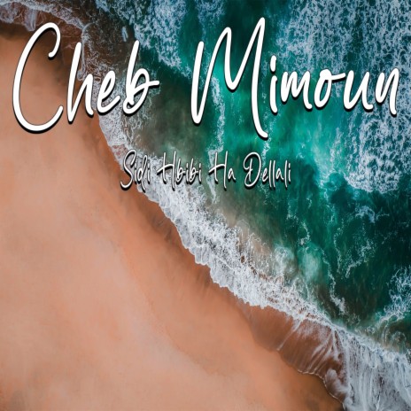 Sidi Hbibi Ha Dellali cover art