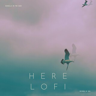 Seagulls in the Haze
