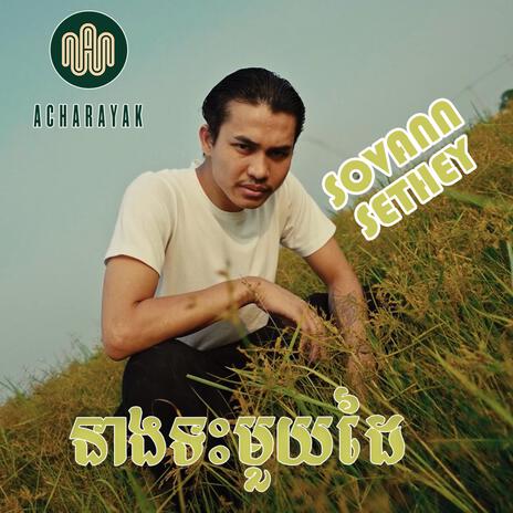 នាងទះមួយដៃ(SHE SLAP ONE PATCH) cover art