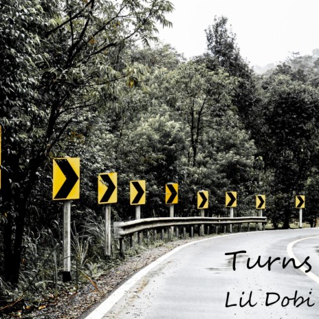 Turns cover art