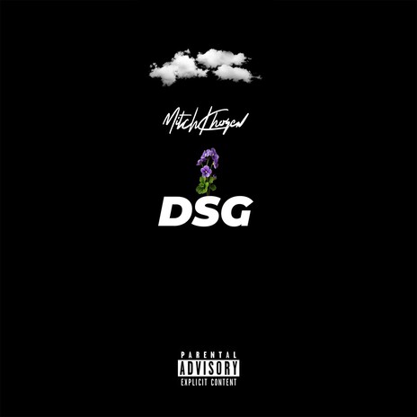 DSG cover art