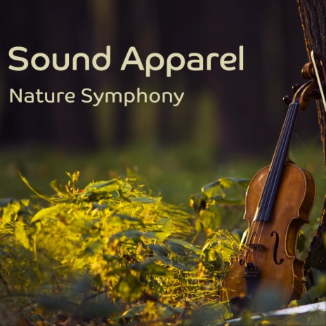 Nature Symhony (Original Orcherstral Trance Mix) cover art