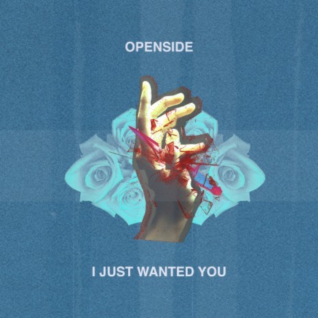 I Just Wanted You