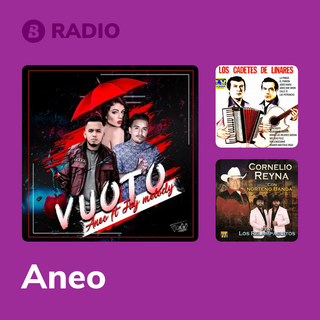 Aneo Radio