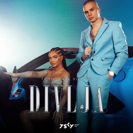 Divlja ft. Voyage