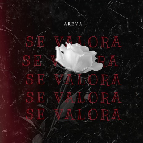 Se Valora cover art