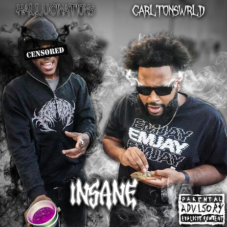 Insane ft. Hallucinations cover art