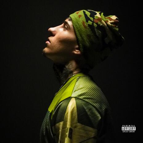 Inaccettabile cover art