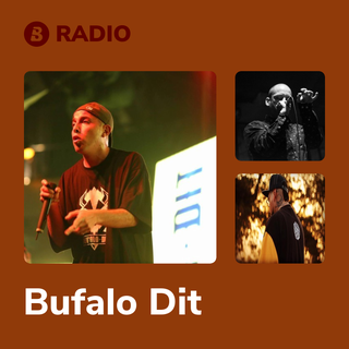 Bufalo Dit Radio