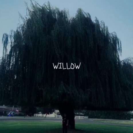 willow