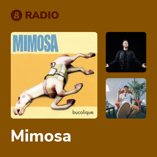 Mimosa Radio