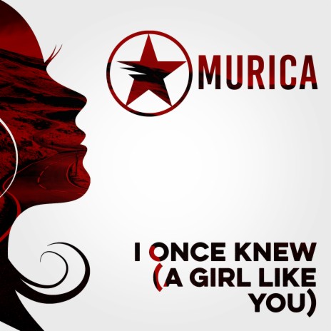 I Once Knew (A Girl Like You) cover art