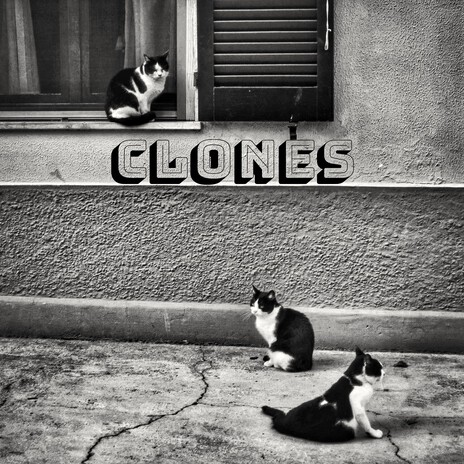 Listening