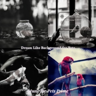 Music for Pets Prime
