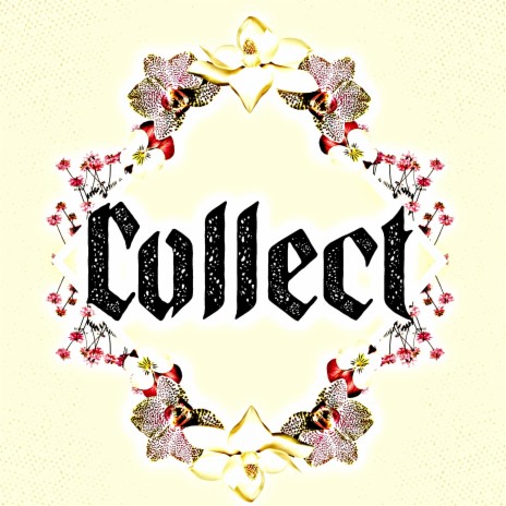 Collect