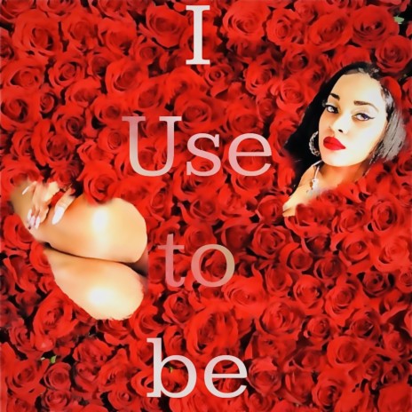 I Use to be cover art