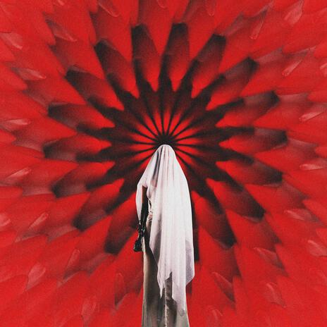 Entropija cover art