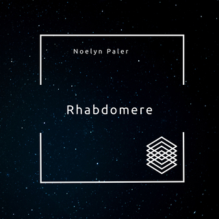 Rhabdomere