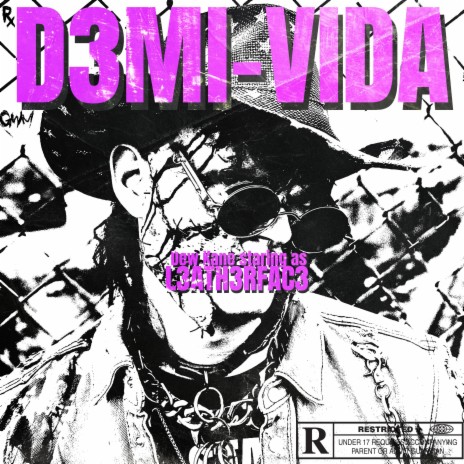 D3MI-VIDA cover art